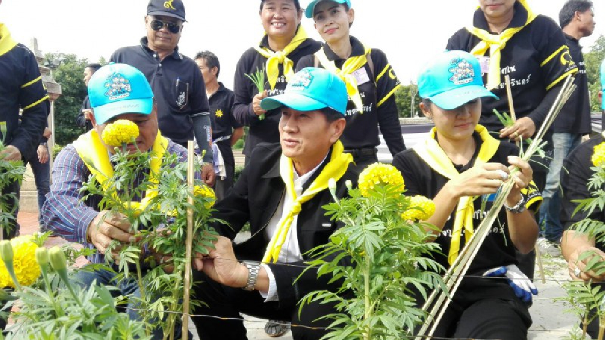 จิตอาสา "เราทำความดี ด้วยหัวใจ"!! ผู้ว่าราชการจังหวัดหนองคายนำจิตอาสาเฉพาะอำเภอเมืองหนองคาย ร่วมกันประดับตกแต่งและดูแลต้นดาวเรือง