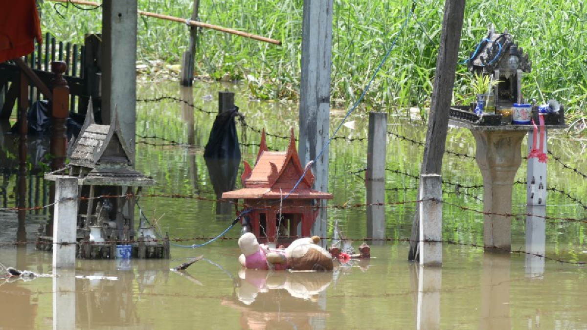 อยู่แบบไม่มีความสุข..! ชาวบ้านชุมชนสวนมะม่วง ผวาแมลงสัตว์มีพิษหนีน้ำเข้าบ้าน..!!