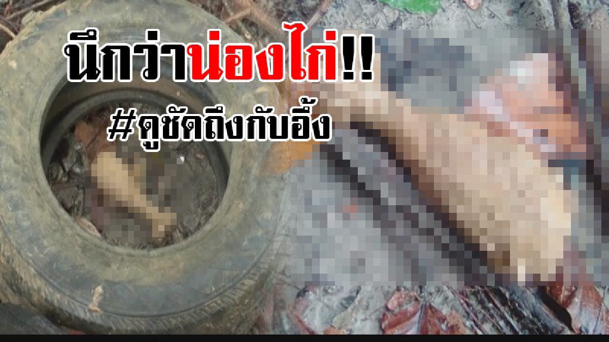 #ตัวใครตัวมัน..!! เจ้าของบ้านถึงกับขาสั่น หลังจากซื้อดินถมที่เตรียมสร้างบ้าน แต่กลับเจอสิ่งนี้คิดว่า "น้องไก่" ที่ไหนได้ไม่ใช่นี่หว่า..!?