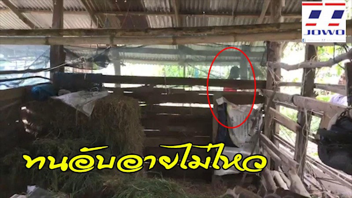 หนุ่มเมืองช้าง เมาทุกวัน..น้อยใจโชคชะตา โดนดูถูกสารพัด ทนอับอายไม่ไหว ผูกคอตัวเองดับ (ดูคลิป)