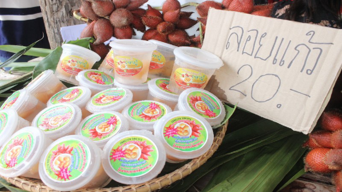 เกษตรกร!! สุดปลาบปลื้มกับโครงการ 9101 ตามรอยเท้าพ่อ ภายใต้ร่มพระบารมี เพื่อพัฒนาการเกษตรยั่งยืน ให้ผลผลิตที่ยั่งยืนจริงๆ..!?