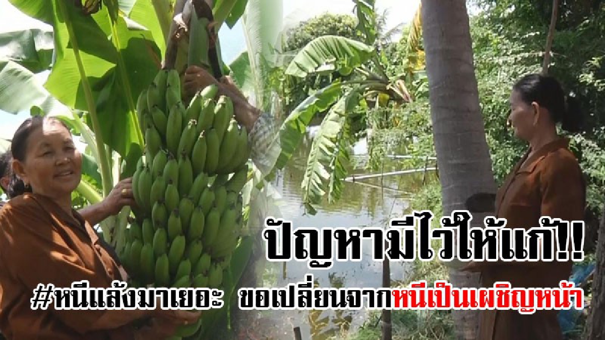 #เราจะไม่หนีปัญหา..!! คุณยายเกษตรกรหนีแล้งซ้ำซาก ตัดสินใจยึดปรัชญาเศรษฐกิจพอเพียง ทำเกษตรผสมผสานสร้างรายได้ทั้งปี..!!