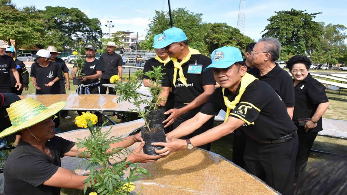 รวมพลังเพื่อพ่อหลวง ร.๙ !! จิตอาสาเฉพาะกิจเมืองคอน ร่วมกันประดับตกแต่งดอกดาวเรืองและทำความสะอาดบริเวณพระเมรุมาศจำลอง (คลิป)
