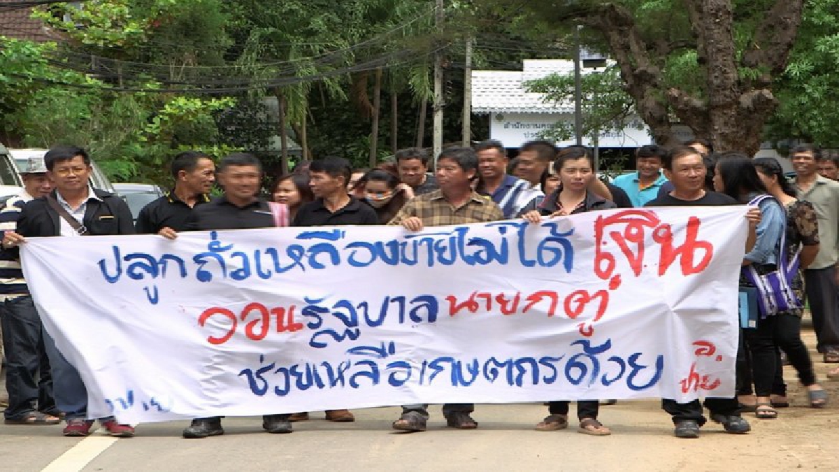 ช่วยเหลือด่วน!!กลุ่มเกษตรกรถั่วเหลืองวอนรัฐช่วย หลังส่งเสริมปลูกถั่วเหลืองแต่ราคาตกต่ำ ทำขาดทุนหนักปล่อยเน่าคาต้น (มีคลิป)