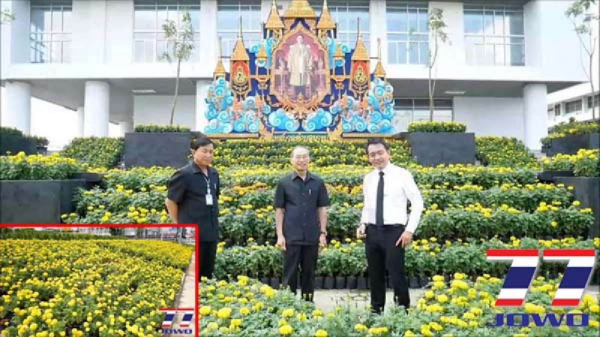 จุดแลนด์มาร์คใหม่..!! เทศบาลบางปูจัดดอกดาวเรืองกว่า 7 หมื่นต้นถวายเป็นพระราชกุศล หน้าพระบรมฉายาลักษณ์พ่อหลวง ร.9..!!