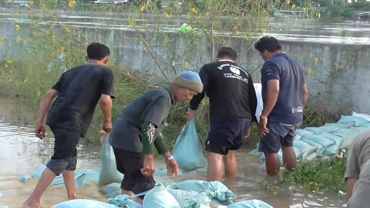 นาทีนี้ต้องช่วยกัน..!! จนท.เทศบาลเมืองอ่างทอง เร่งอุดแนวกำแพงพื้นที่เศรษฐกิจเมืองอ่างทอ หลังน้ำทะลุหลายจุด