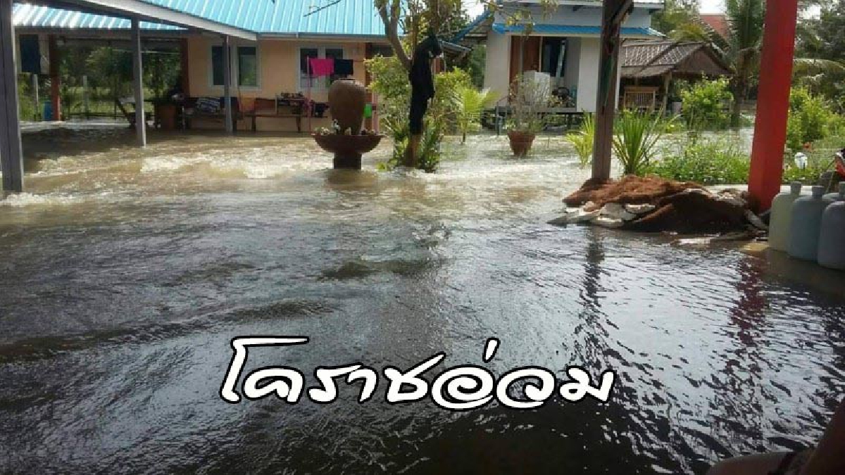น้ำแผลงฤทธิ์ !! น้ำลำเชียรไกรโคราช ล้นทะลัก 300 หมู่บ้าน "4 อำเภอยังจมน้ำ"
