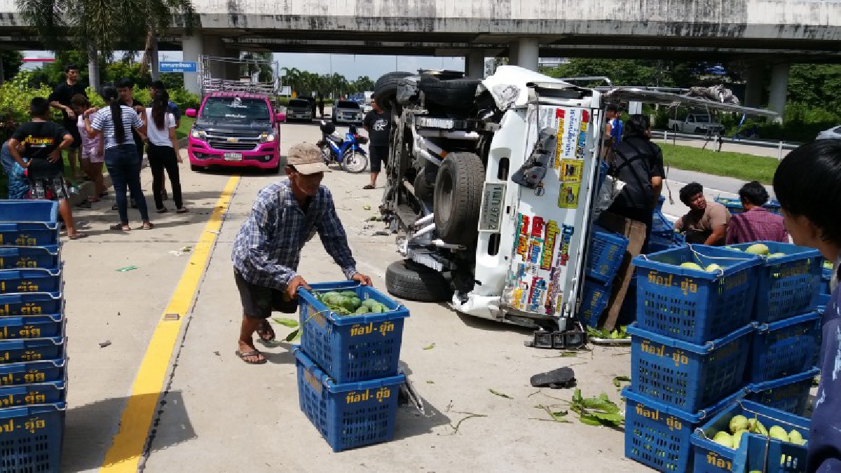 เทกระจาด !! แม่ค้าสาวขับกระบะบรรทุกมะม่วงเต็มคัน "ยางระเบิด 3 เส้น" รถพลิกตะแคงข้าง มะม่วงเกลื่อนถนน (คลิป)