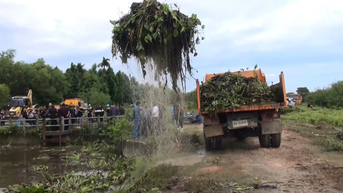 สงขลา!! จัดกิจกรรมกำจัดผักตบชวาและวัชพืชถวายเป็นพระราชกุศล แก่พ่อหลวง ร.9 !!