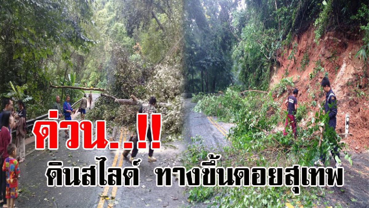 ด่วน..!! เกิดดินสไลด์ ทางขึ้นดอยสุเทพหลายจุด ต้นไม้ล้มขวางถนน การสัญจรเป็นไปด้วยความยากลำบาก จนท.เร่งเข้าแก้ไขปัญหา (มีคลิป)