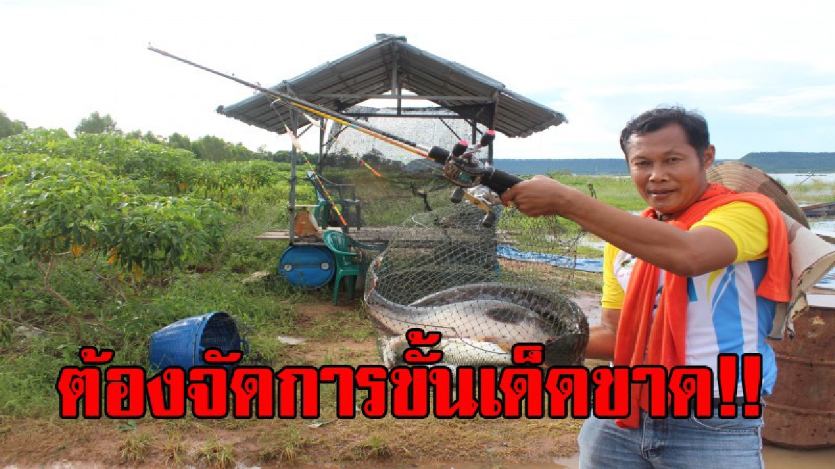 มันอยู่ในน้ำ...!?! ปีศาจลำแชะ อาละวาดหนัก เล่นงานปลากระชัง ชาวบ้านรายวัน เผยงานนี้ต้องฮึดสู้ เราต้องล่ามันก่อน!! (มีคลิป)