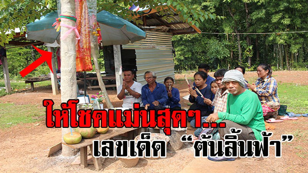 ฮือฮาทั้งหมู่บ้าน..! แห่ขอเลขเด็ด ต้นลิ้นฟ้าช่อคล้ายหัวพญานาค หลังคอหวยเลี่ยงโชคถูกทั้งหมู่บ้าน 2 งวดติด มางวดนี้ไม่พลาดได้เลขเด็ดไปเต็มๆ!?