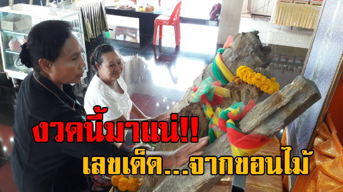 รวยเละมาหลายงวด..!! ชาวบ้านแห่ขอเลขเด็ด จากขอนไม้กลายเป็นหิน หลังมีคนถูกหวยหลายงวด สุดตื่นเต้น เมื่อปรากฏเลขให้เห็นกันชัดๆ!? (คลิป)