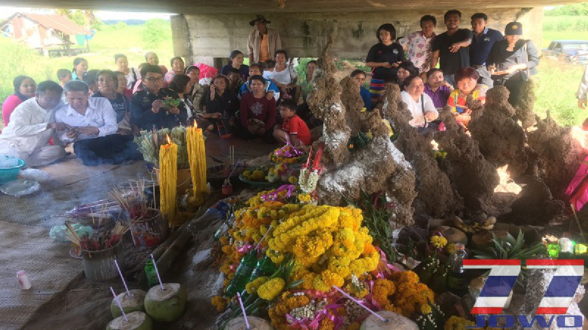 โค้งสุดท้าย...ชาวเชียงยืน มหาสารคาม ฮือฮา จอมปลวกคล้ายพญานาค ใต้คลองส่งน้ำ ให้โชคมาแล้ว แห่ขอเลขเด็ด(มีคลิป)