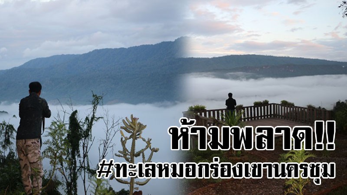 #ที่สุดความสวยงาม..!! เชิญเที่ยวปลายฝนต้นหนาว พร้อมสัมผัสทะเลหมอก ที่ร่องเขานครชุมอย่างใกล้ชิด บอกเลยความสวยงามจะทำให้ประทับใจไม่รู้ลืม..!?