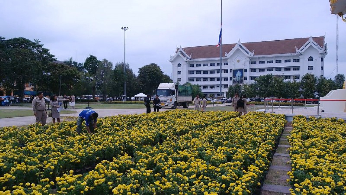 จิตอาสานครพนม รวมพลังปลูกดอกดาวเรืองและตกแต่งสถานที่รอบพระเมรุมาศจำลอง (มีคลิป)