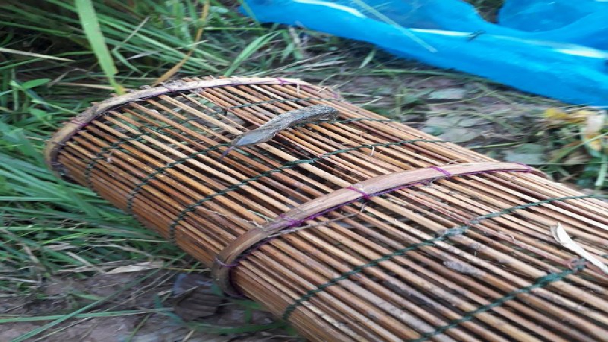 บุรีรัมย์ สาวชาวนาผงะดักไซหวังได้ปลาเจองูเห่า