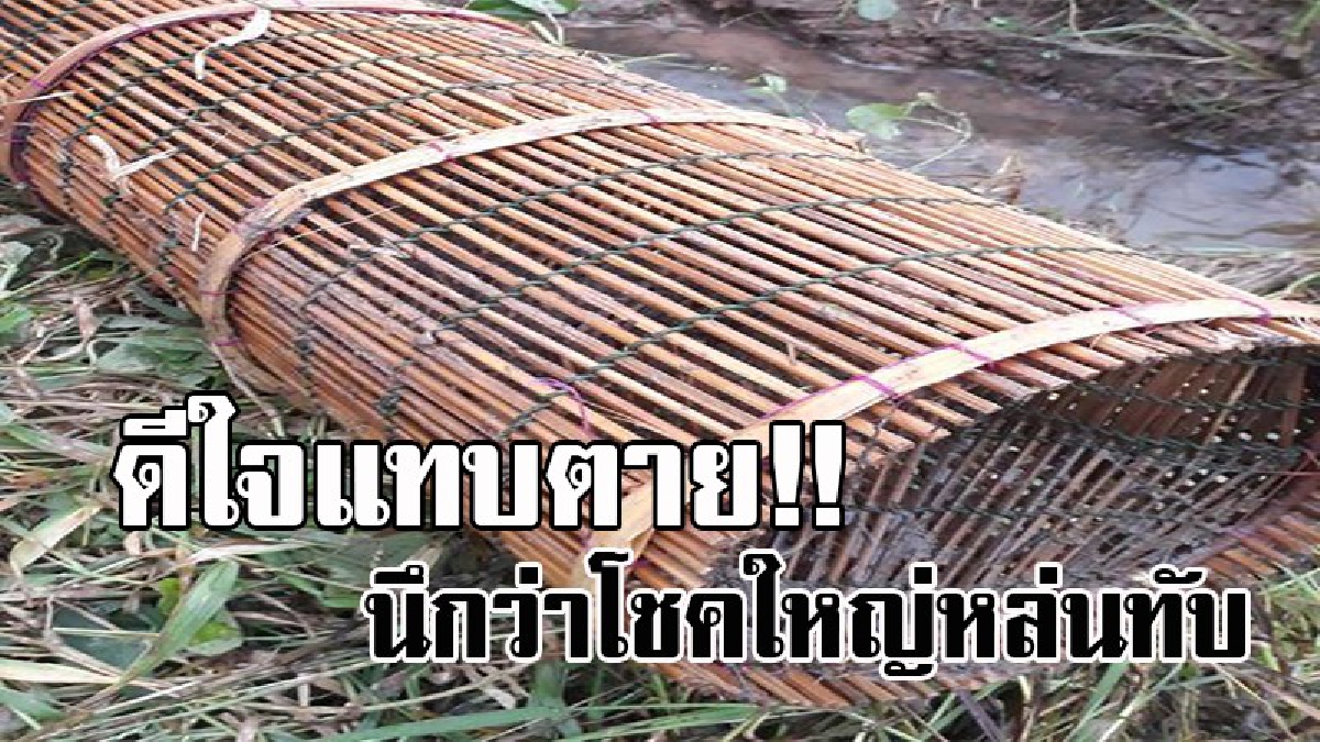 อ้าวเฮ้ย..มันไม่ใช่ปลา !? สาวชาวนาผงะ เอาไซไปดักปลากลางทุ่งนา รุ่งเช้าตื่นมาดู เล่นเอากระเจิง กลับได้งูยาวเป็นเมตร..!! (มีคลิป)