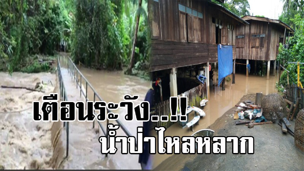 พิษ "ขนุน" ถาโถมหนัก..! แพร่เตือน ให้ปชช.เฝ้าระวัง น้ำป่าไหลหลากในหลายพื้นที่ หลังยังมีฝนตกหนัก ทำบ้านเรือนพังเสียหายหลายหลัง (มีคลิป)