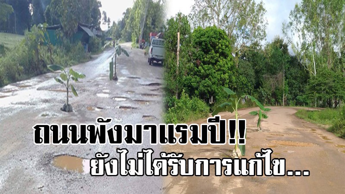 ดังอีกแล้วครับท่าน..!! สุดฮือฮา ชาวบ้านสุดทน ถนนเป็นหลุมเป็นบ่อ มีน้ำท่วมขัง ตัดสินใจ ปลูกกล้วยประชดภาครัฐ ฝากถามเรื่องนี้..ไปถึงไหนแล้ว!?