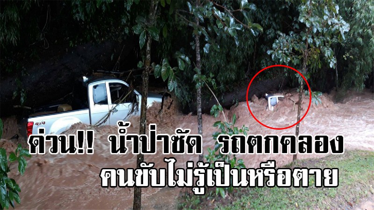 #ด่วน..!! น้ำป่า ซัด รถป่าไม้ ตกคลอง คนขับยังไม่รู้ชะตากรรม ดินสไลด์หลายจุด หล่มเก่าเริ่มวิกฤต!?!