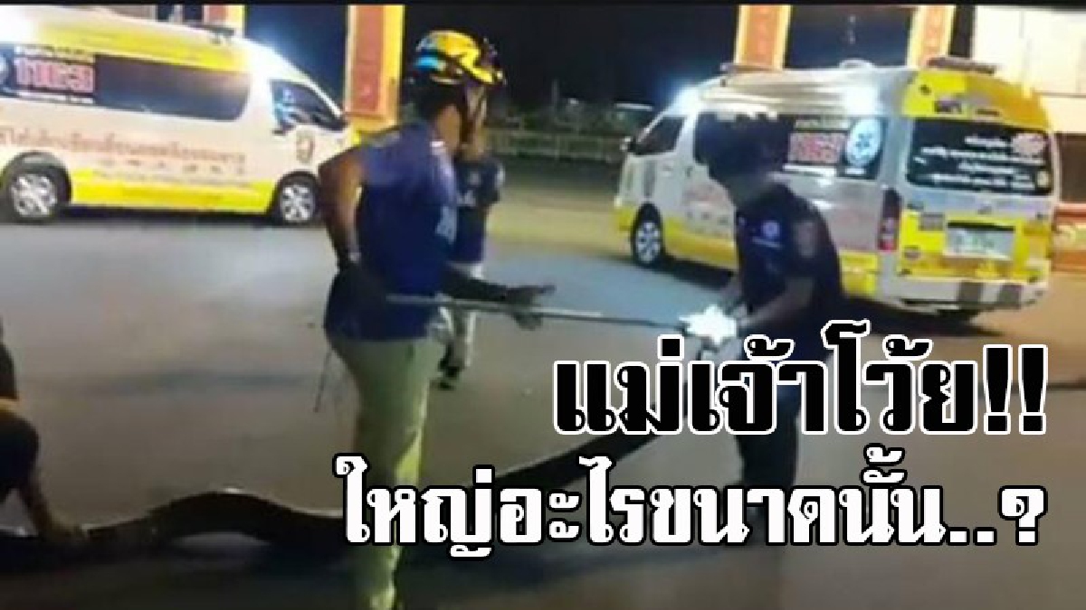 สุดผวากลางดึก..!! ไอ้เหลือม แอบบุกเข้าบ้านกินแมว อย่างไม่เกรงใจ โร่แจ้งจนท.มาช่วยจับ ถึงกับต้องตะลึงทั้งบาง มันใหญ่และยาว อะไรขนาดนั้น!?