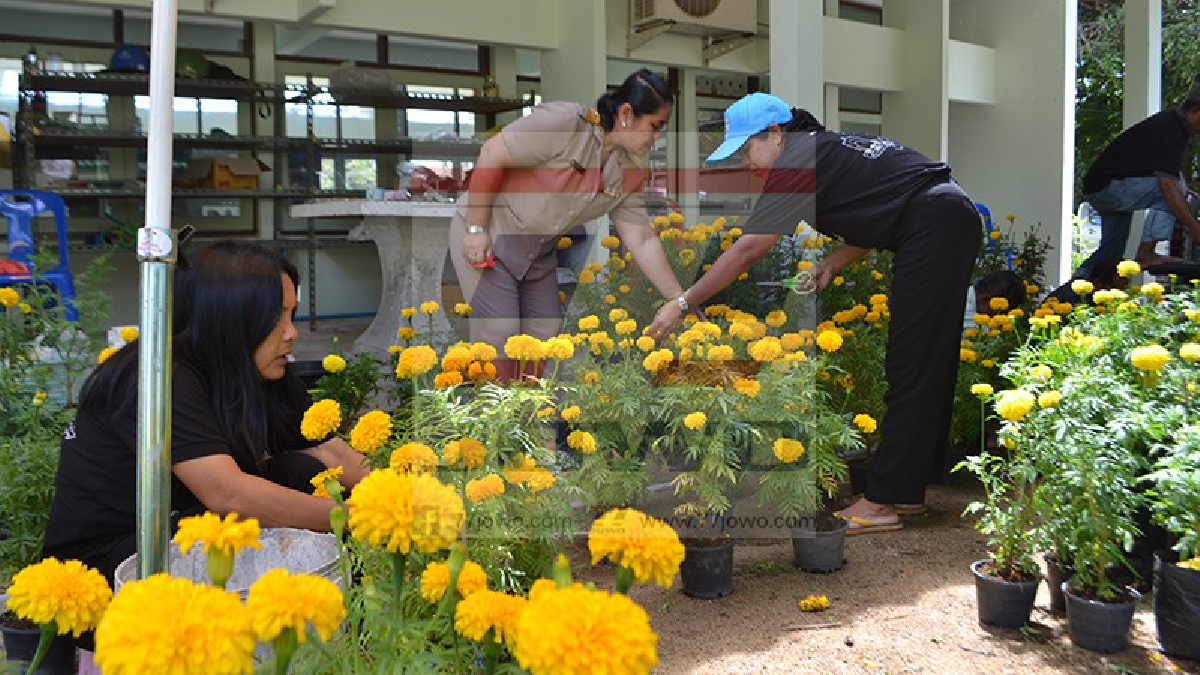 ทำด้วยใจ..!! ชาวบ้านเกาะพะงัน พร้อมใจจัดสถานที่ประกอบพิธีถวายดอกไม้จันทน์ กำหนดจัดพร้อมทุกจังหวัดทั่วประเทศ