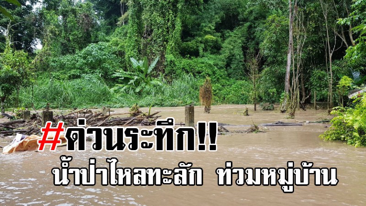 เปิดคลิประทึก..!! พายุถล่มเชียงใหม่ระลอก 2 มวลน้ำป่าจากดอยสุเทพไหลท่วม พื้นที่หมู่ 3 บ้านแม่เหียะในชุมชน ยานพาหนะไม่สามารถสัญจรได้