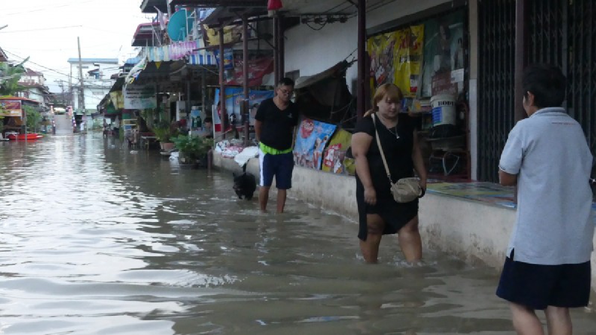 ขอได้ไหม ..? ชาวสามโคก วอนให้สร้างสะพาน หลังฝนตกทีไร น้ำท่วมทุกที เดินเข้า-ออก จะไม่ต้องลุยน้ำไปทำงาน (คลิป)
