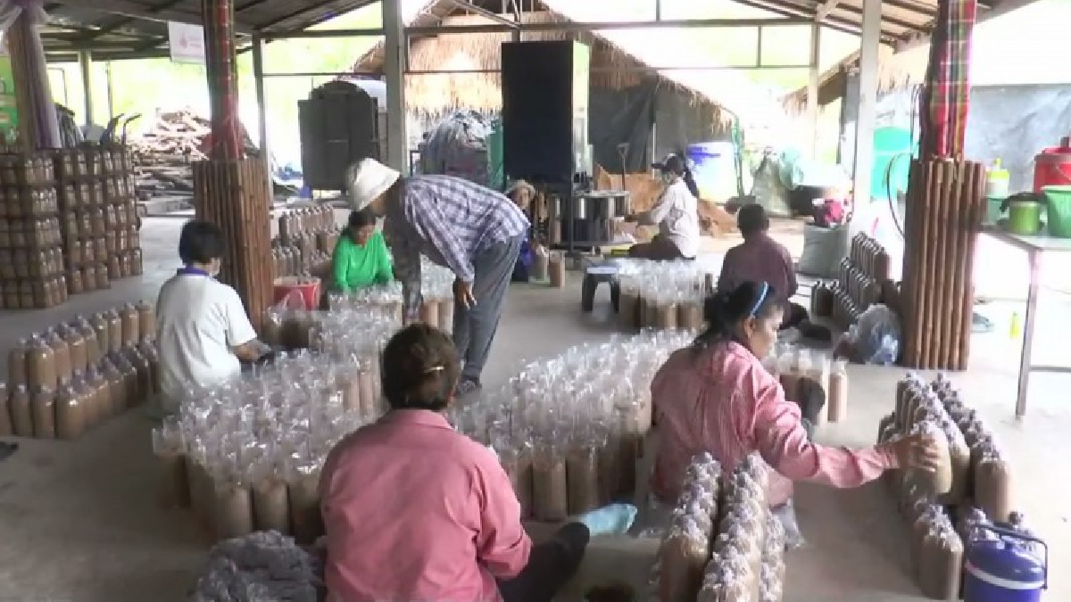 #พอเพียงเท่ากับยั่งยืน..!! ชาวบ้านโพนสูงเมืองโคราชรวมกลุ่มกันน้อมนำปรัชญาเศรษฐกิจพอเพียงของพ่อหลวง สร้างคุณภาพชีวิตดีขึ้นอย่างยั่งยืน