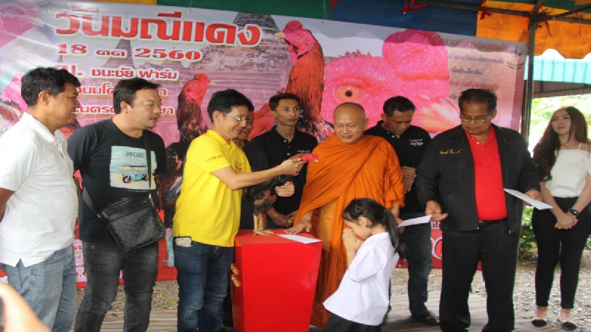 เจ้าของไก่มณีแดง ไก่ชนค่าตัวแพงที่สุดในโลก 22 ล้านนิมนต์เกจิชื่อดังทำบุญวันมณีแดงเดย์ พร้อม มอบทุนการศึกษา 33 ทุน ให้กับนักเรียน (ดูคลิป)