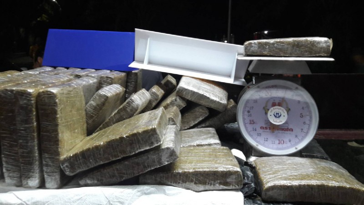 ปราบให้สิ้นซาก !! กัญชาอัดแท่ง 200 กิโลซุกป่าละเมาะที่สตูล ตร.น้ำสนธิกำลังหลายหน่วยงาน เข้ายึดเรียบ (คลิป)