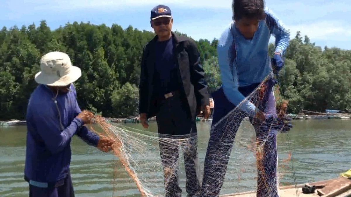 #เพิ่มช่องรวย..!! กุ้งแชบ๋วยที่ทะเลกระบี่ชุกชุม ชาวประมงยิ้มหน้าบาน เร่งมือแห่จับขาย รายได้งาม..!?