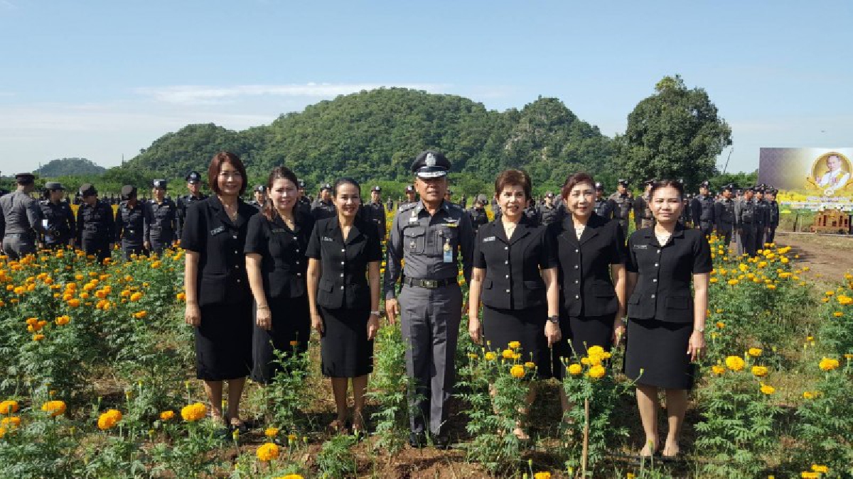 ร่วมมือทุกฝ่าย..!! ตำรวจภูธรสระบุรี ปลูกดอกดาวเรืองถวายพ่อหลวงทำเป็นเลข 9