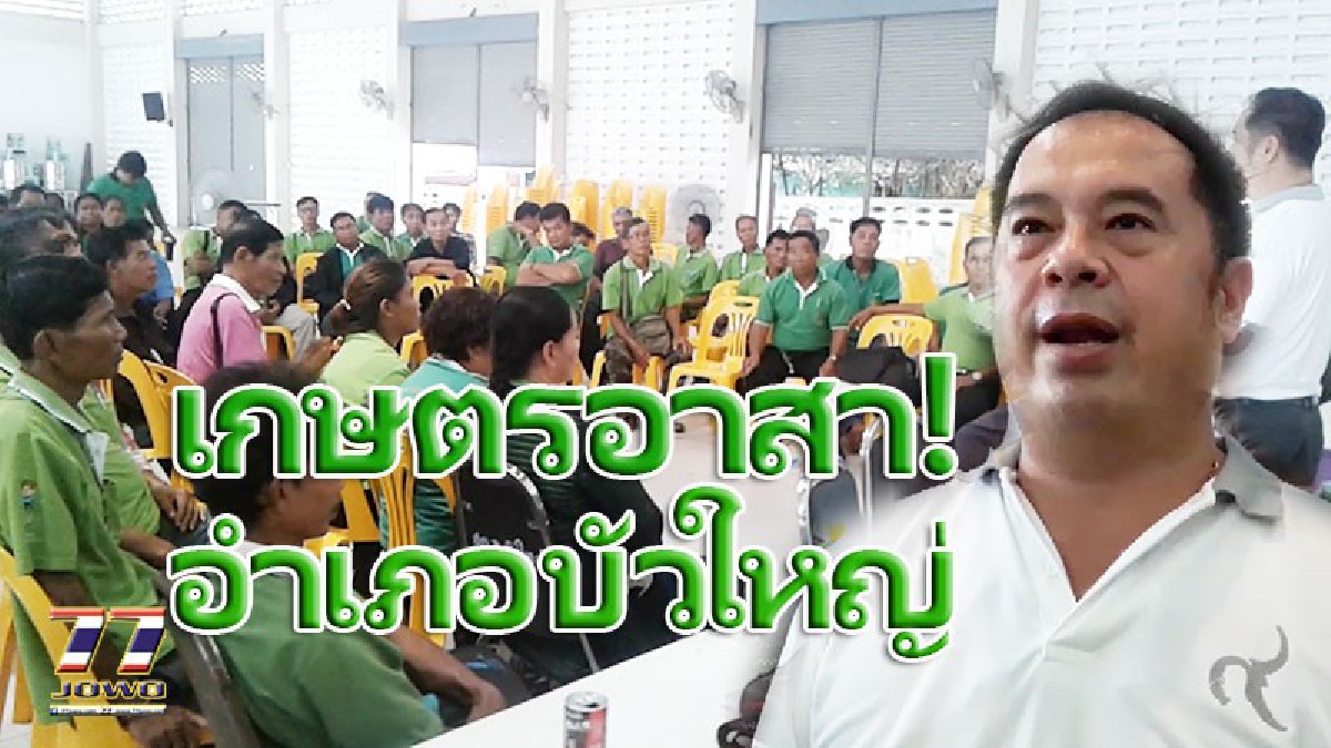 "ชาวนา" เลิกเป็นลูกแหง่รอประกันราคาข้าว  จับกลุ่มนาแปลงใหญ่ กำหนดผลผลิตออกเดือนก.ย. จะได้ราคา 15 บาทต่อกิโลกรัม (คลิป)