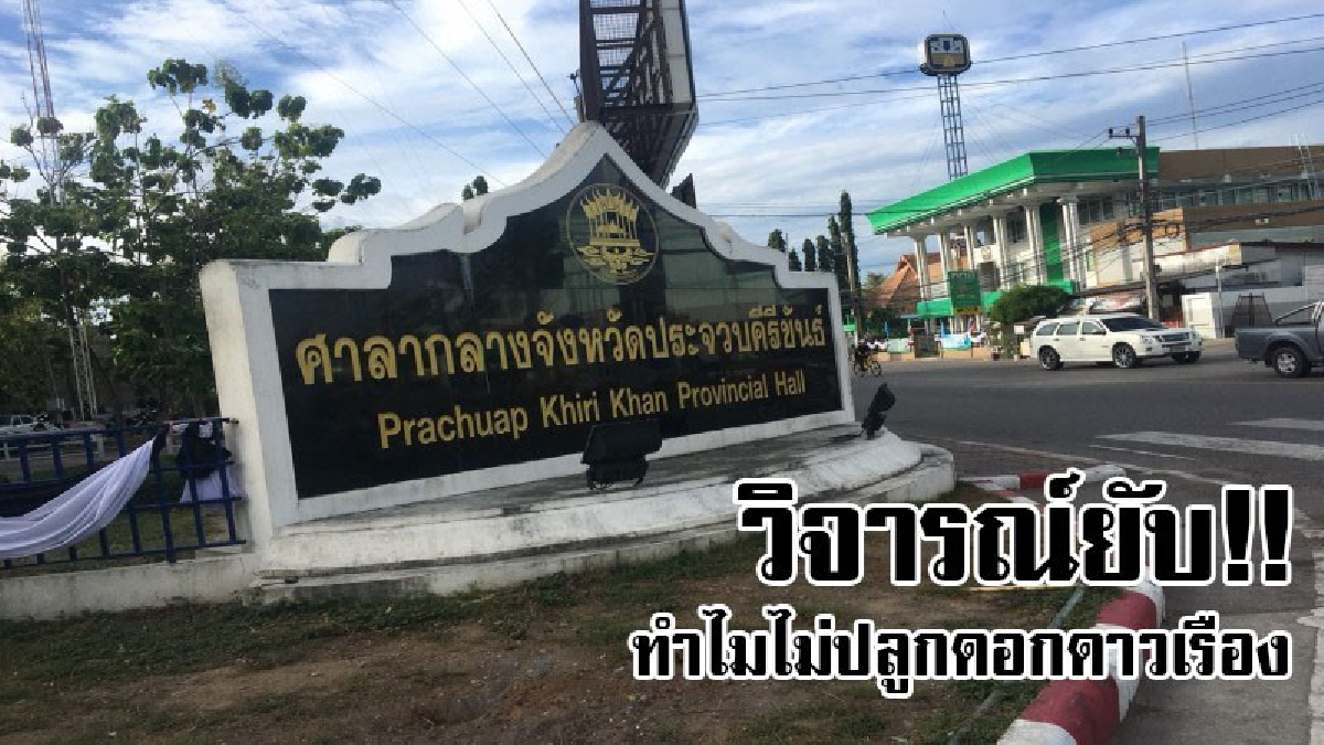 #มีปมดราม่าอีกแล้ว..!? อดีตรองผู้ว่าฯ วิจารณ์ยับ ศาลากลางประจวบฯ ทำไมไม่ปลูกดาวเรืองถวายความอาลัย..!?