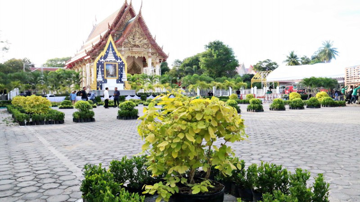 #ทำด้วยใจรัก..!! สวนนงนุชนำต้นไม้ 3 พันต้น 17 พันธุ์ไม้ตกแต่ง มาปลูกรอบพระเมรุมาศจำลองวัดสัตหีบ