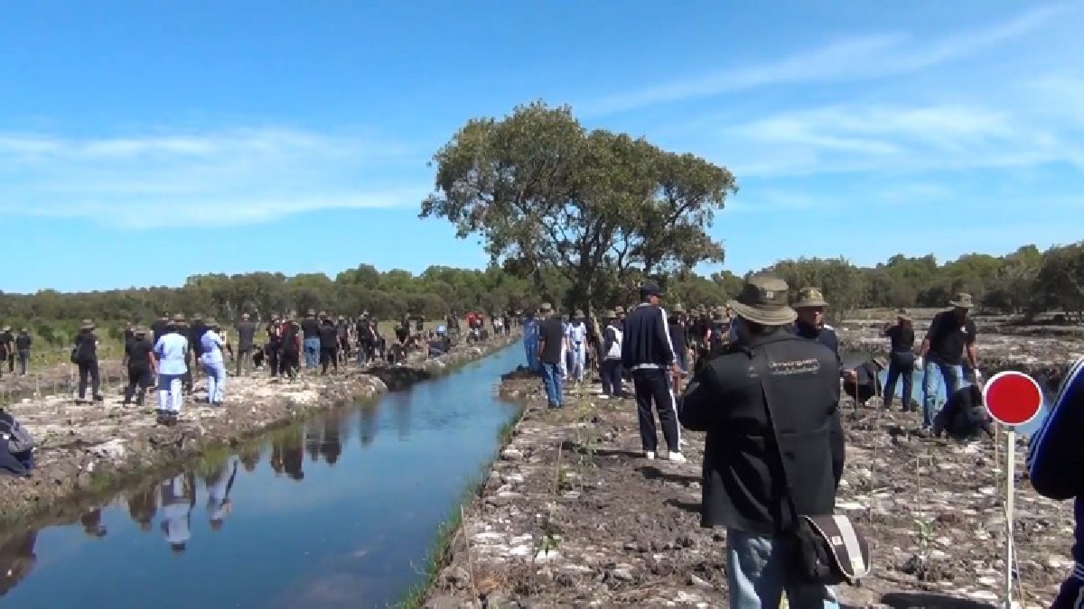 #เพิ่มพื้นที่ธรรมชาติ..!! ซีพีเอฟจับมือภาครัฐและเครือข่าย เดินหน้าปลูกป่าชายเลน ในพื้นที่ยุทธศาสตร์เป้าหมาย 5 จังหวัด