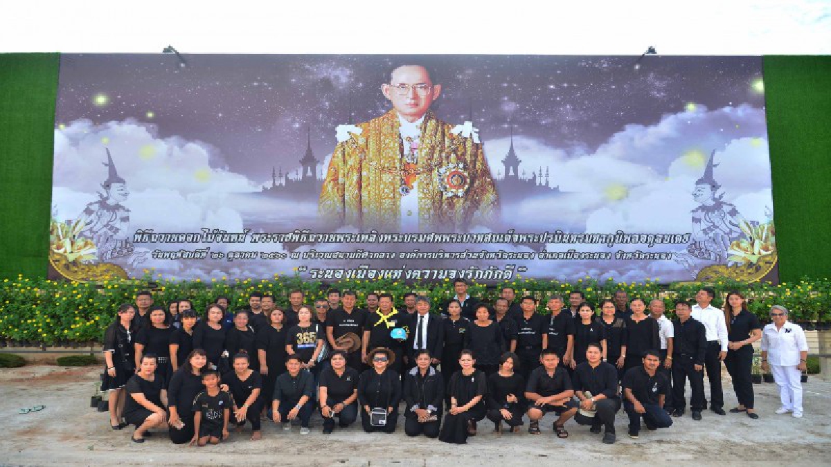 พ่อเมืองระนองนำจิตอาสาเฉพาะกิจร่วมกันประดับต้นดาวเรืองเพิ่มเติมพื้นที่โดยรอบพระเมรุมาศจำลอง