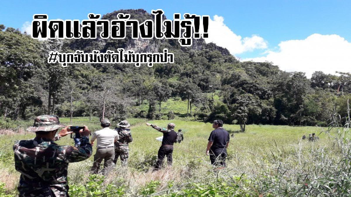 ทวงคืน!! พญาเสือสนธิกำลังอุทยานฯ ทหาร ตร.ยึดคืนผืนป่ารวบม้งบุกรุกป่า อ้างไม่รู้ที่อุทยานฯ อีกทั้งตรวจแปลงปลูกป่าพบ 100ไร่ถูกรุกเหลือแค่15ไร่