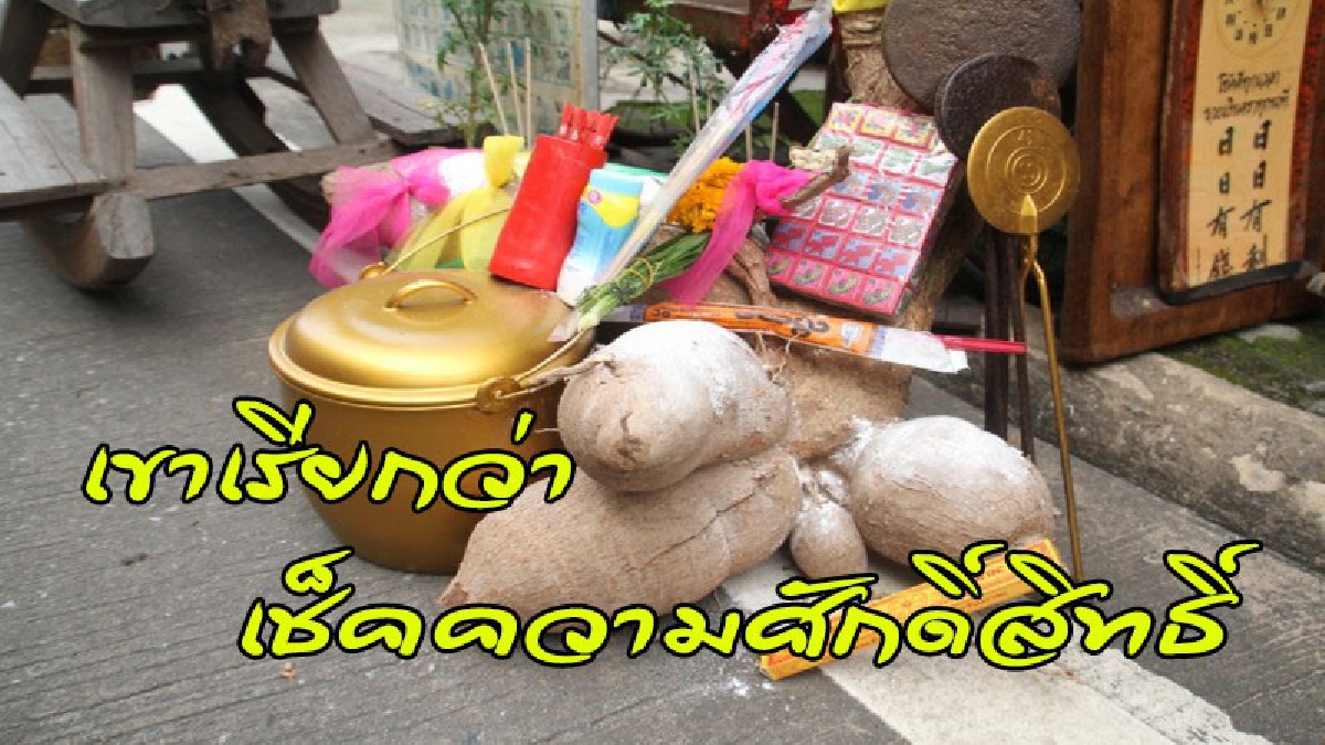 ตามระเบียบ !! พ่อค้าหมั่นโถวพบหัวมันยักษ์ เอามาประดับร้าน แป๊บเดียว..ผ้าสามสี-ดอกไม้ธูปเทียน เพียบ (คลิป)