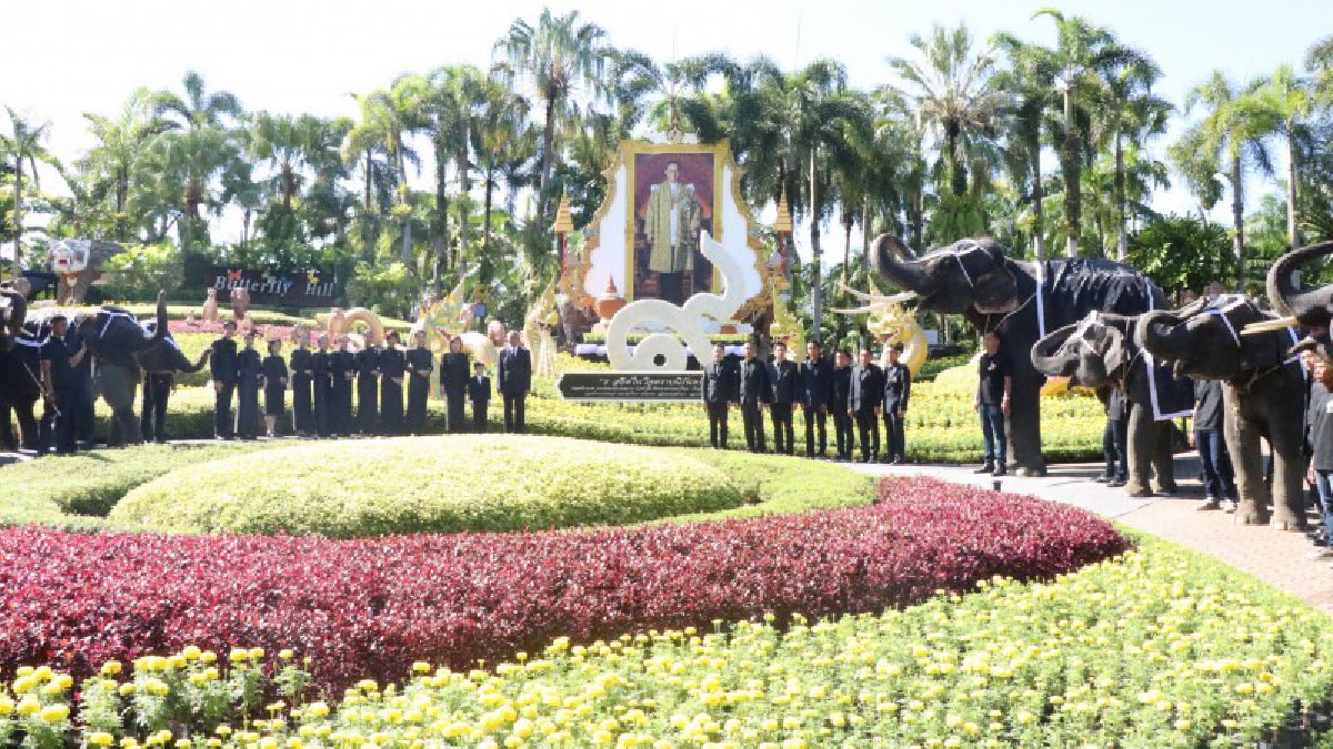 สวนนงนุชพัทยา..!! จัดกิจกรรม ถวายความอาลัย พระบาทสมเด็จพระปรมินทรมหาภูมิพลอดุลยเดช บรมนาถบพิตร (มีคลิป)