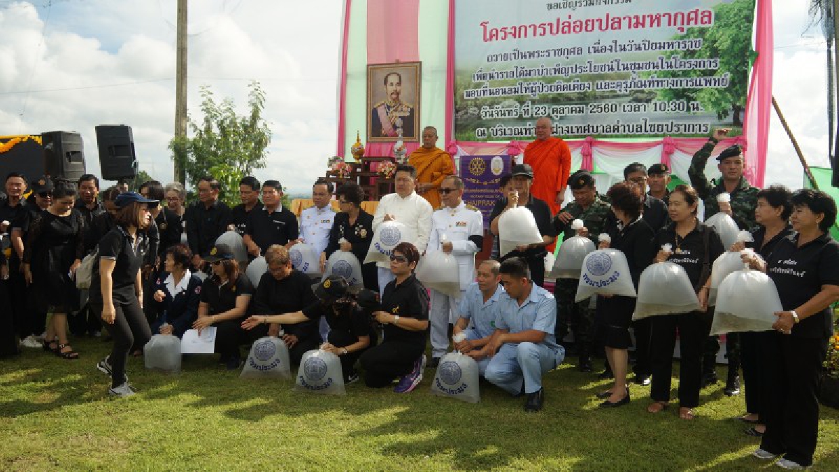 จังหวัดเชียงใหม่ . . .เป็นเจ้าภาพในการร่วมปล่อยปลาพันธ์พื้นเมืองลงสู่แหล่งน้ำธรรมชาติ  เนื่องใน วันปิยมหาราช ปล่อยปลา สร้างมหากุศล