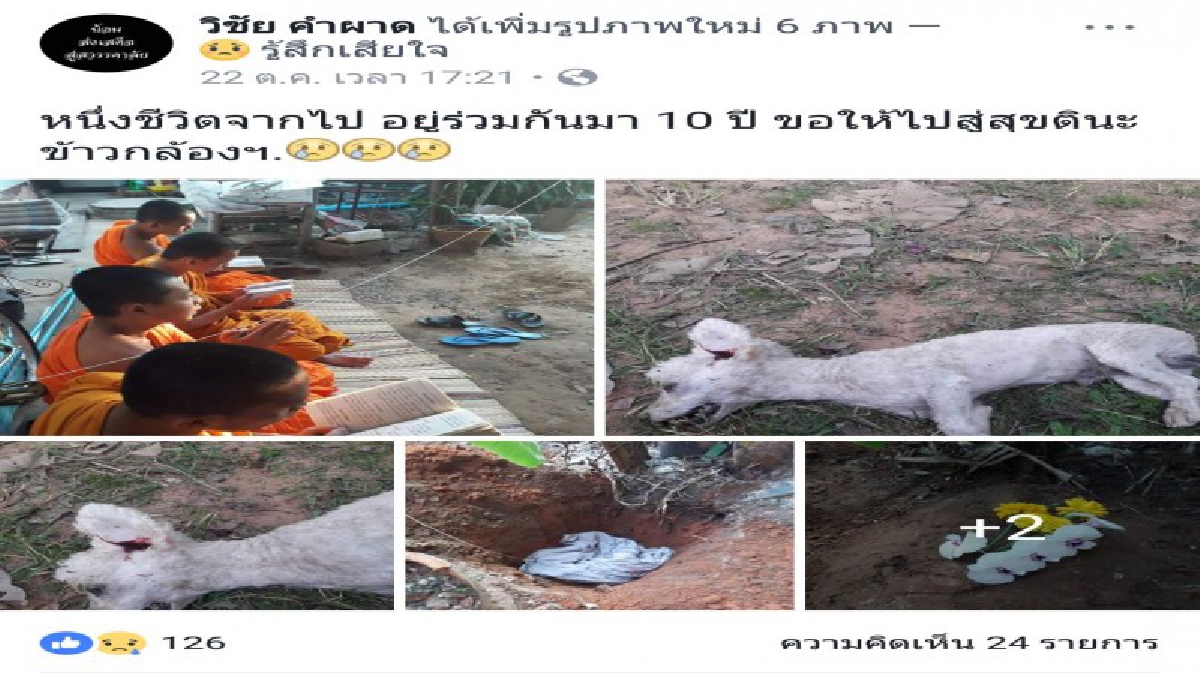 เศร้าหนัก “ข้าวกล้อง”หมาผู้ซื่อสัตย์ ถูกรถยนต์ชน จากไปอย่างไม่มีวันกลับ ทำพิธีฌาปนกิจร่างอันไร้วิญญาณของสุนัขแสนรู้