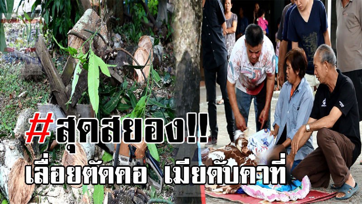 #เลื่อยมรณะ..!! อุทาหรณ์จำจนวันตาย สองผัวเมีย ช่วยกันใช้เลื่อยยนต์ตัดไม้ เกิดพลาดท่า สุดท้ายกลายเป็น โศกนาฎกรรมสุดสยอง!? (คลิป)