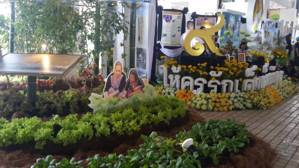 “Chiang Mai : The Land of Royal Projects น้อมสืบสานพระราชปณิธานสู่ชีวิต ธ สถิตเคียงคู่ไทยนิรันดร์” ร้อยเรียงพระราชกรณียกิจในพื้นที่เชียงใหม่
