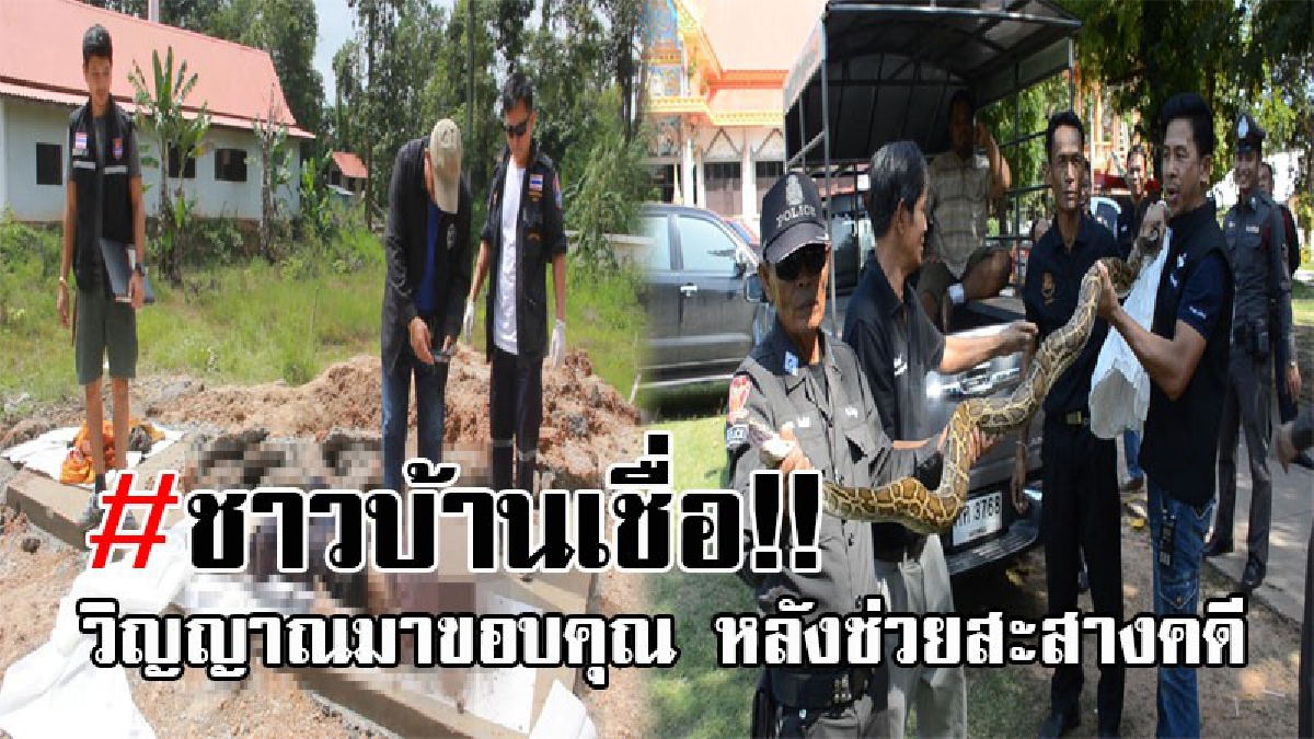 ชาวบ้านลือหึ่ง..!! ขนลุกซู่ วิญญาณหนุ่มเลี้ยงวัว มาเข้าสิงงูหลาม ดลใจผู้ใหญ่บ้าน ให้พามาขอบคุณตร. ขณะทำแผนคดี พระใจชั่วฆ่าโบกปูนได้หมด!?