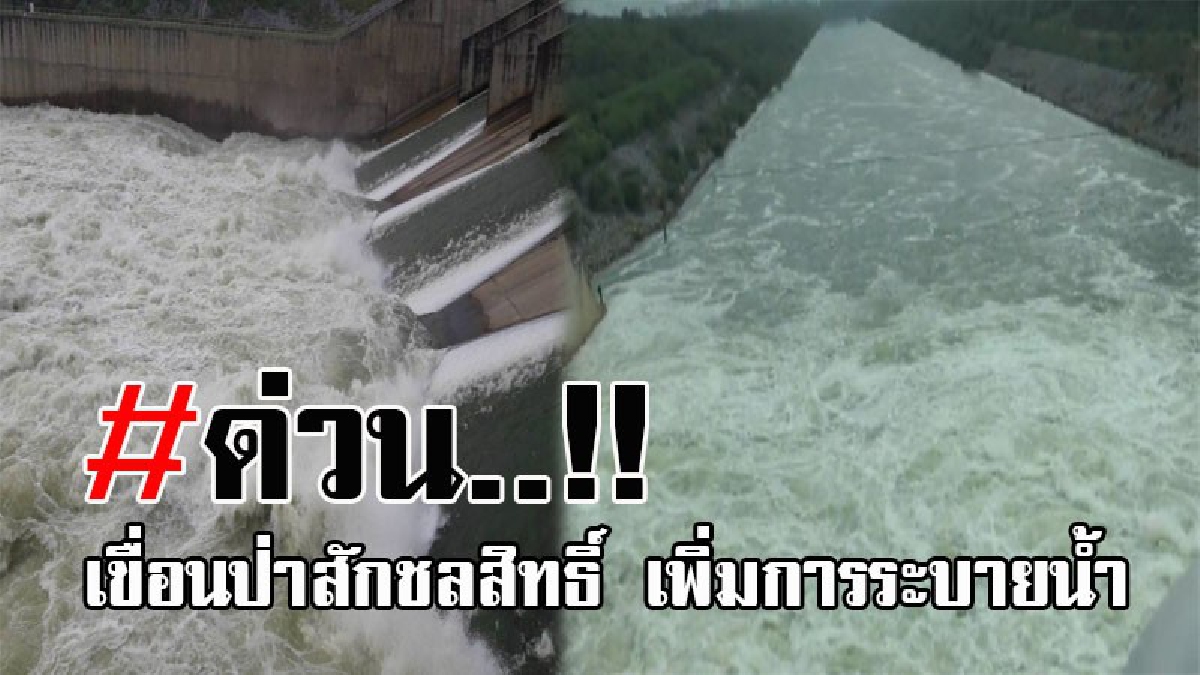 #แจ้งเตือนด่วน..!! กรมชลประทาน จ.ลพบุรี ประกาศเตือน หลังน้ำเขื่อนป่าสักชลสิทธิ์ ใกล้เต็มความจุของอ่าง ต้องเพิ่มการระบายลงท้ายเขื่อน!?