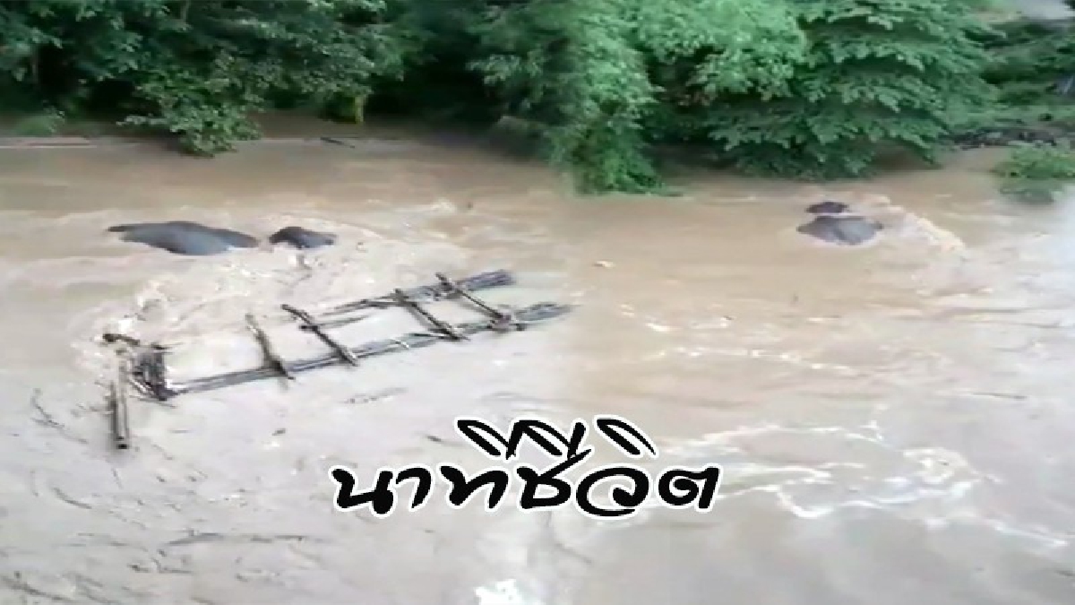น้ำป่าโหด ซัด"ช้างพังแม่หมู" วัย 53 ปี ไหลตามกระแสน้ำ ควาญช้างช่วยระทึกกว่า 3 ชั่วโมง (คลิป)