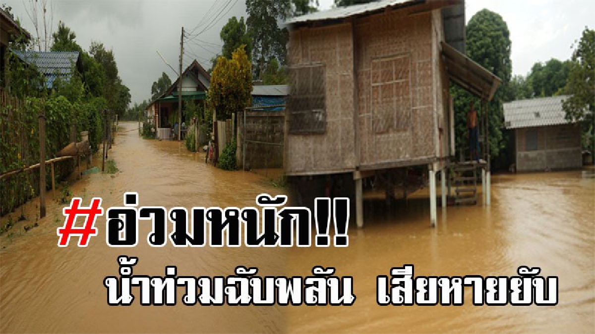 มาแบบไม่ทันตั้งตัว..!! เชียงใหม่อ่วมหนัก หลังน้ำท่วมฉับพลัน ทะลักเข้าท่วม ประมาณ 100 หลังคาเรือน ทำพืชผลทางการเกษตรเสียหายยับ (คลิป)